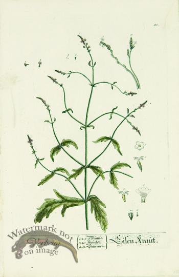 Blackwell German 253